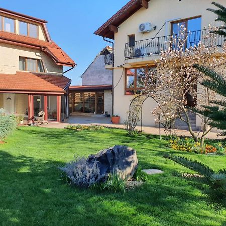 사투마레 Casa Irinella B&B 외부 사진