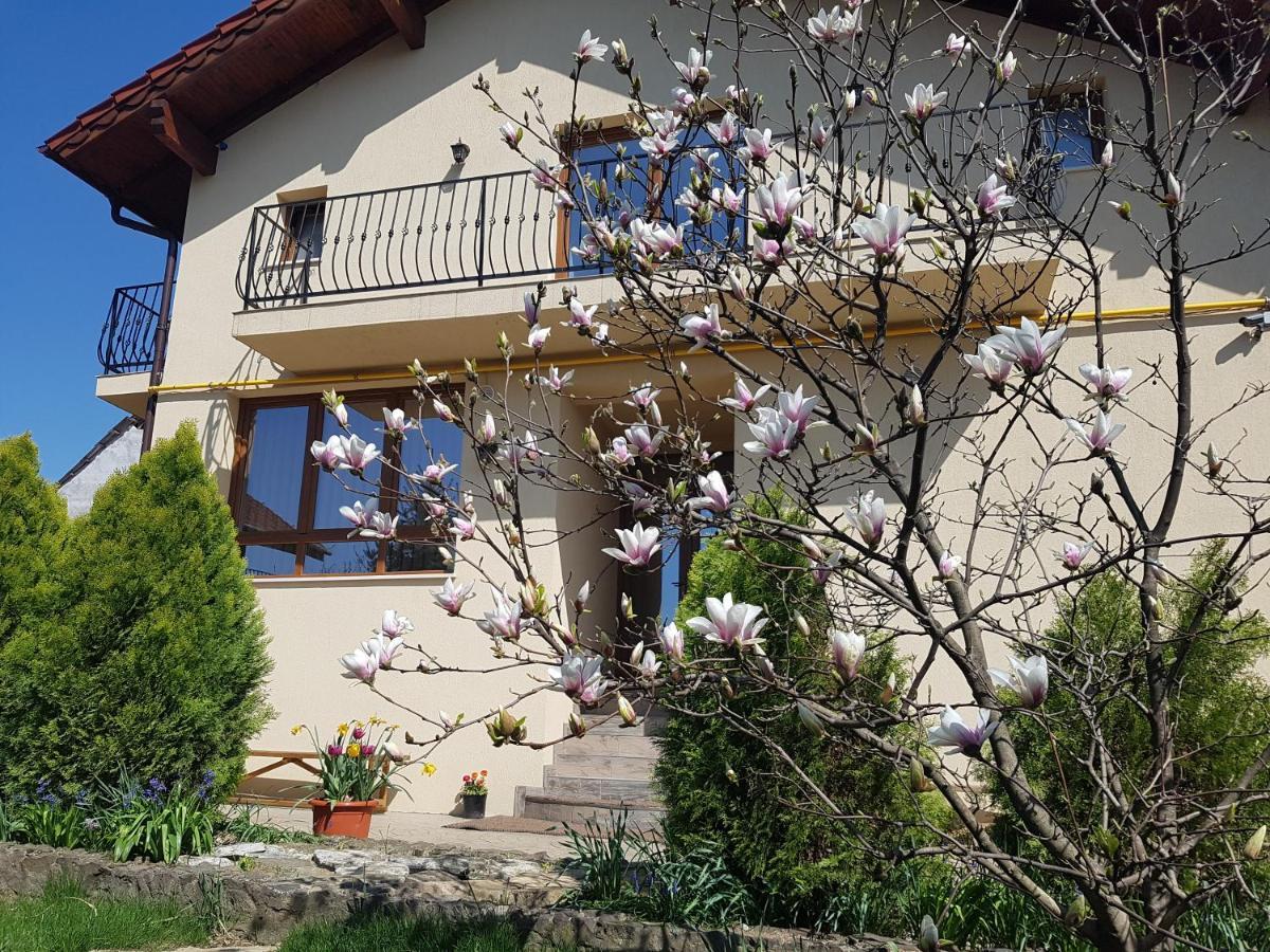 사투마레 Casa Irinella B&B 외부 사진
